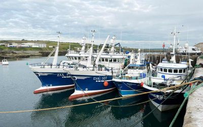 Growth for the Irish Seafood Sector in 2023