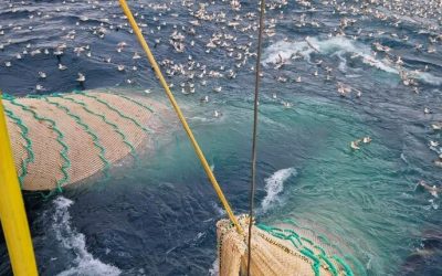 Irish fishing representatives commend Fisheries Commission over stance in Norway talks