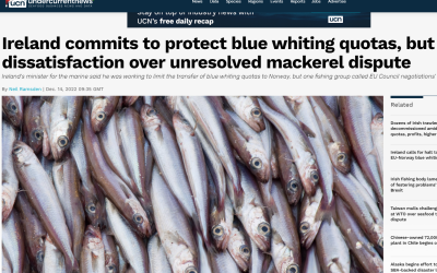 Ireland commits to protect blue whiting quotas – IFPO