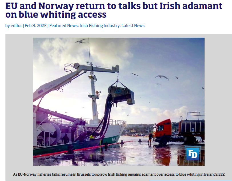 EU and Norway return to talks but Irish adamant on Blue Whiting access.