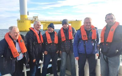 Offshore Wind Farms Can Damage Fishing Grounds