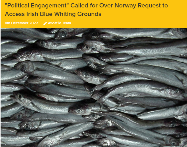 Afloat-Magazine-Norway-EU-blue-whiting-row-IFPO-Aodh-O-Donnell