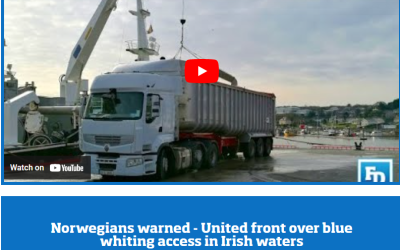 The Fishing Daily Podcast: Norwegians warned – United front on blue whiting access in Irish waters