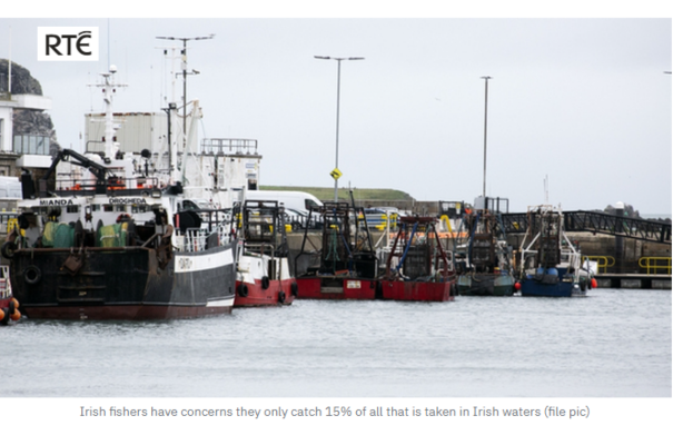 RTE: Minister urged to fight hard for Irish fishers as 2024 quotas decided