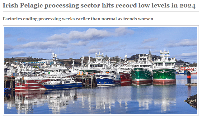 The Marine Times: Irish Pelagic processing sector hits record low levels in 2024