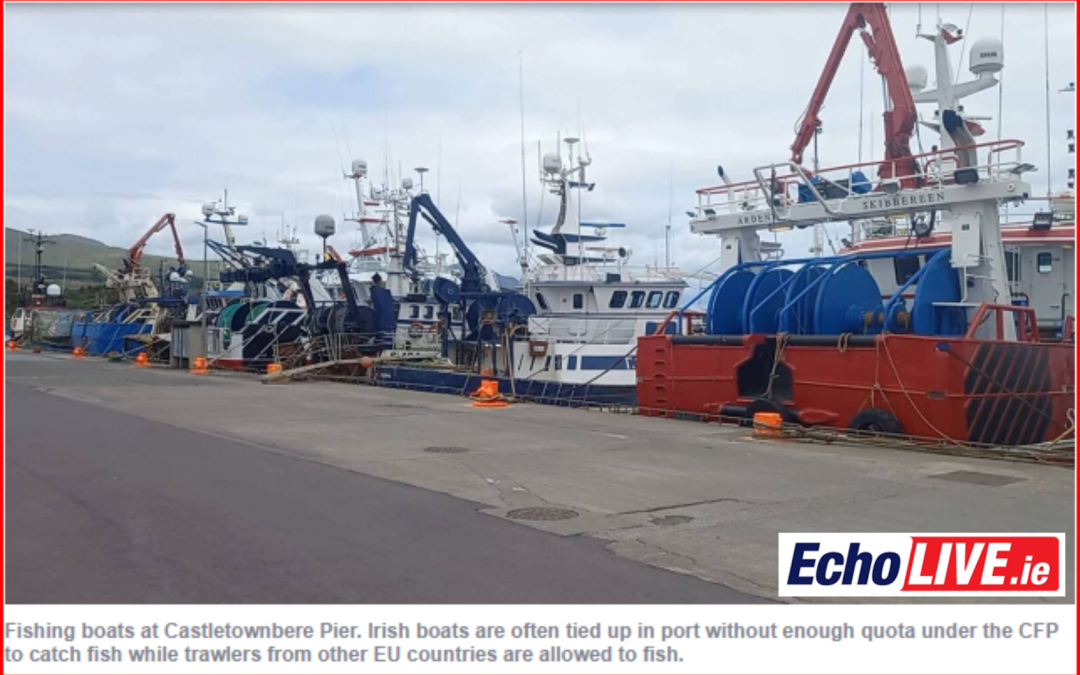 EchoLive.ie: Maritime Cork: Ireland without EU fisheries committee representation