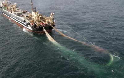 OceanFM: Support in Donegal to ban Norway fishing in Irish waters
