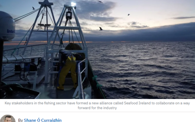 RTÉ: Fishing leaders seek MEPs support to ‘prevent industry collapse’
