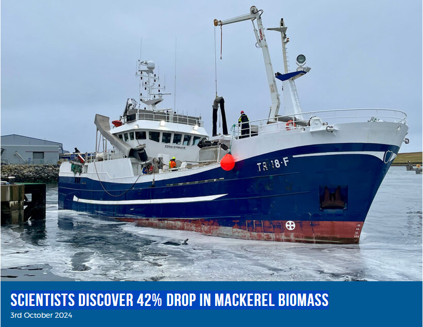 Fishing News: Scientists discover 42% drop in mackerel biomass