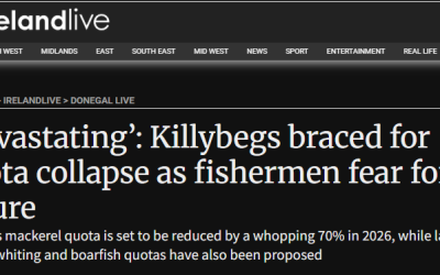 ‘Devastating’: Killybegs braced for quota collapse as fishermen fear for future