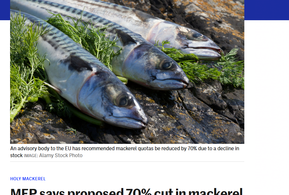 The Journal: MEP says proposed 70% cut in mackerel quota would ‘threaten livelihoods in rural Ireland’