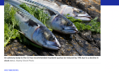 The Journal: MEP says proposed 70% cut in mackerel quota would ‘threaten livelihoods in rural Ireland’