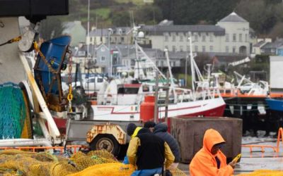 Call for Urgent Action as Seafood Task Force Convenes