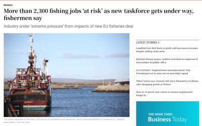 Irish Times Report on New Taskforce