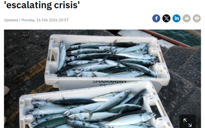 RTE 6.1 News and RTE News on New Seafood Taskforce